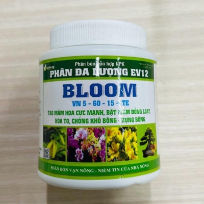 Bloom 100 gr