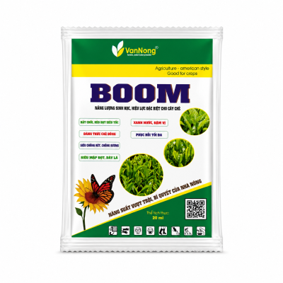 BOOM chè 20 ml