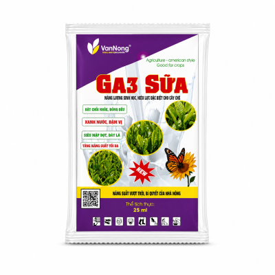 GA3 SỮA Chè 25 ml