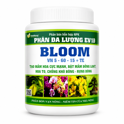 Bloom 100 gr