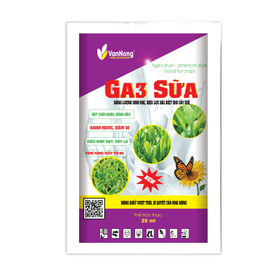 GA3 SỮA Chè 25 ml