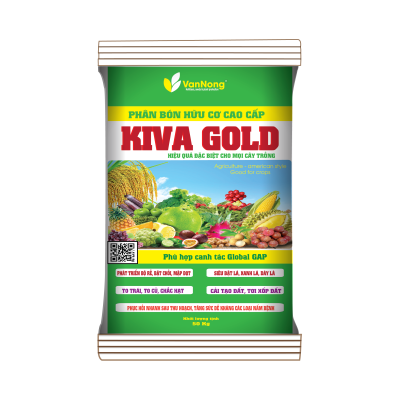 KIVA GOLD